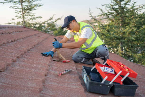 Professional Roofing Contractor in Mitchell, SD