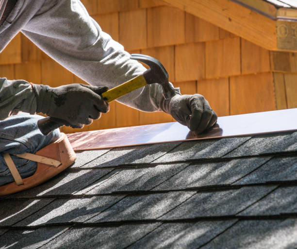 Best Roof Gutter Cleaning  in Mitchell, SD